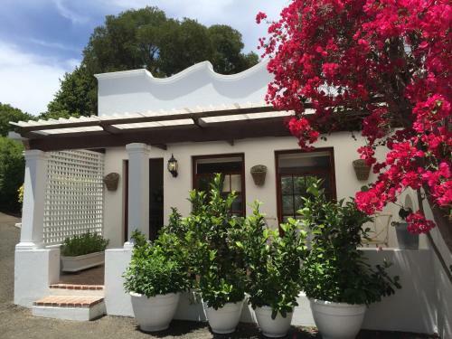 Bed & Breakfast The White Manor