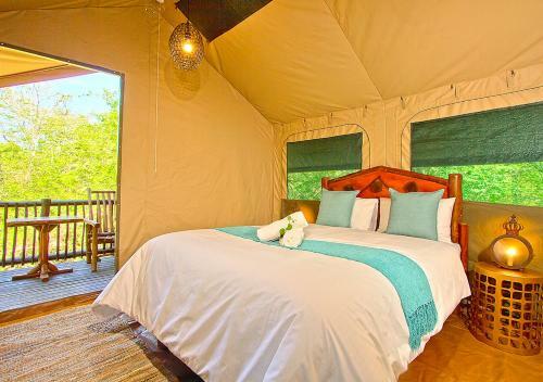 Kruger Adventure Lodge