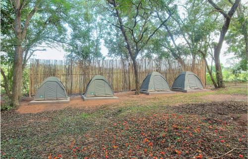 Kruger Adventure Lodge