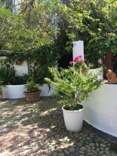 Apartamento Brookwood Cottage