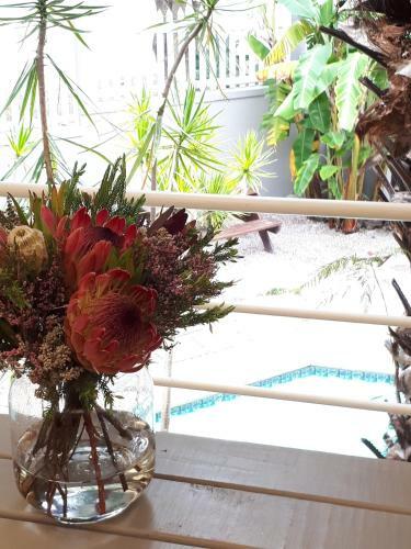 Hostal Knysna N2 Lodge