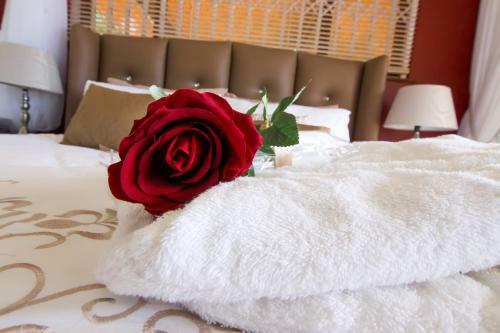 Bed & Breakfast Casa Di Cattleya