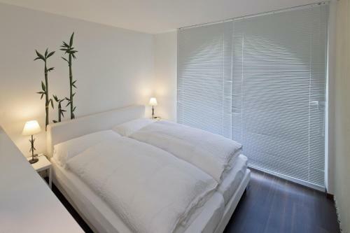 Apartamentos Casa Collinetta 2