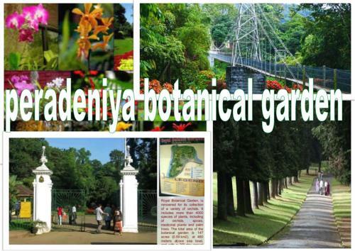 Greenwood Kandy Homestay