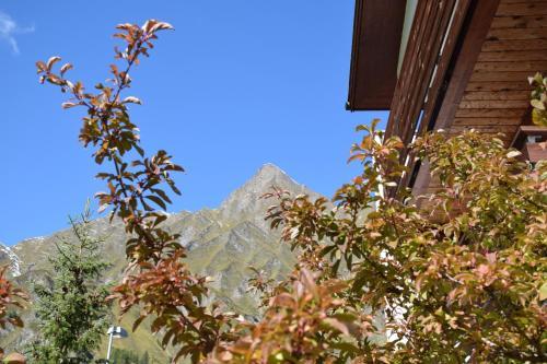 Apartamentos Chasa Miramont