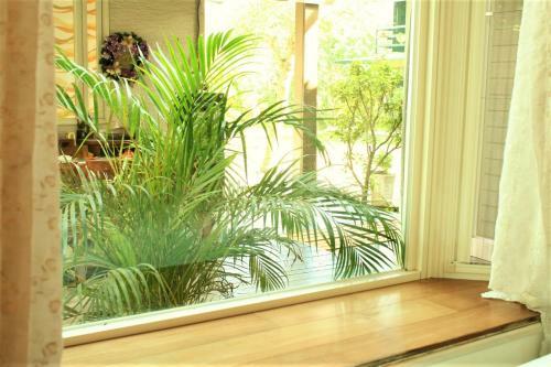 Yishin Garden B&B