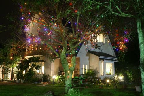 Yishin Garden B&B