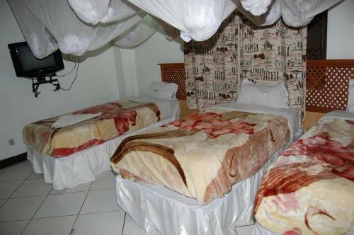 Hotel Arusha Center Inn Tourist