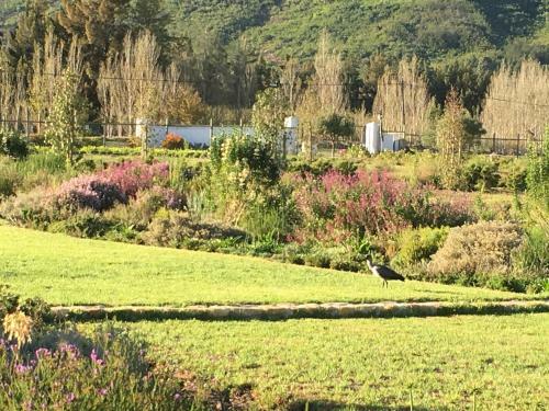 Hostal The Terraces @ Chambray Estate