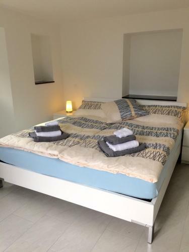Apartamento Casa In Selva