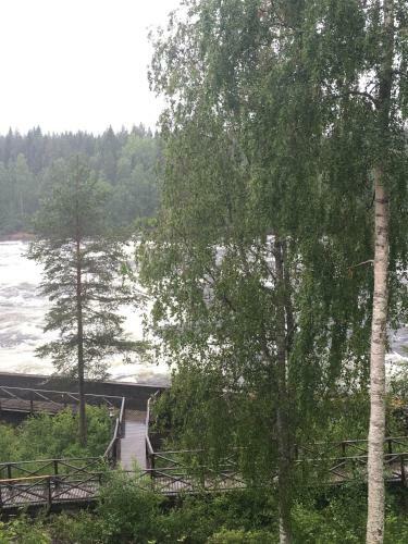 Hotell Forsen