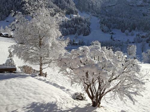 Apartment Chalet B�rgsunna.3
