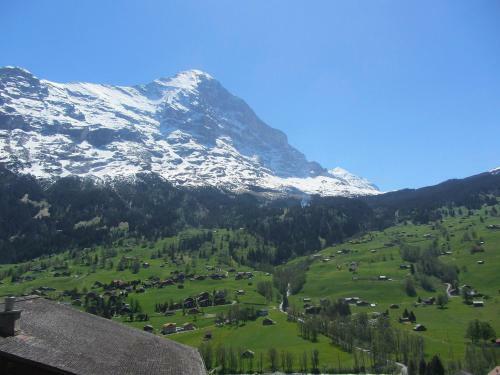 Mittelhorn