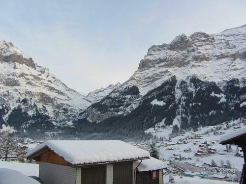 Mittelhorn