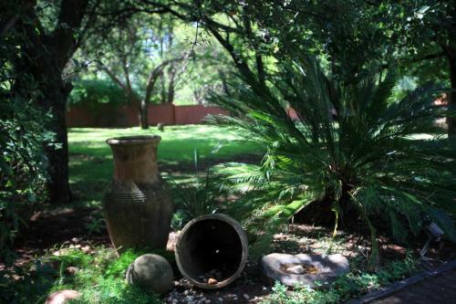 Bed & Breakfast Andante Lodge