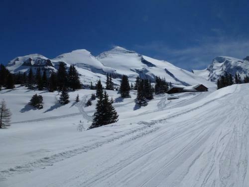 Apartamento Ferienwohnung Chalet Bergblume