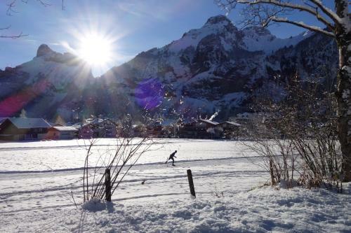 Apartamento Ferienwohnung Chalet Bergblume
