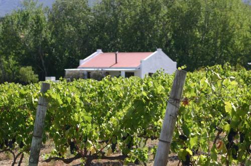 Fraaigelegen Farm Tulbagh