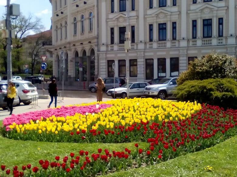 Hotel Alexander Business Apartments Sofia