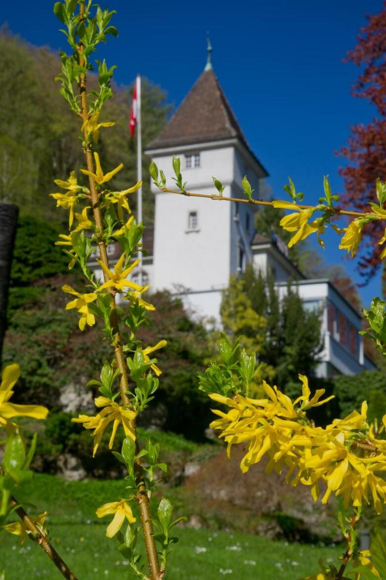 Silence Hotel Schloss Ragaz