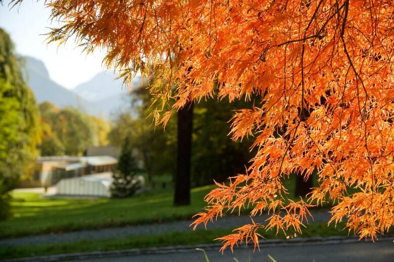 Silence Hotel Schloss Ragaz