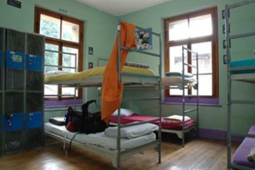 Hostal Funny-farm Backpackers/hotel