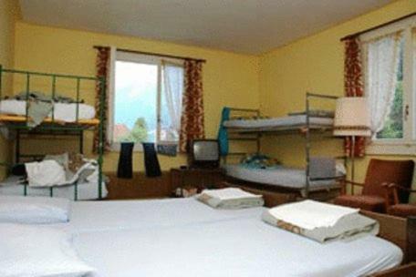 Hostal Funny-farm Backpackers/hotel