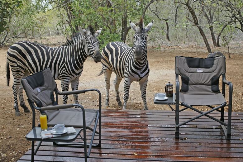 Tusk Bush Lodge