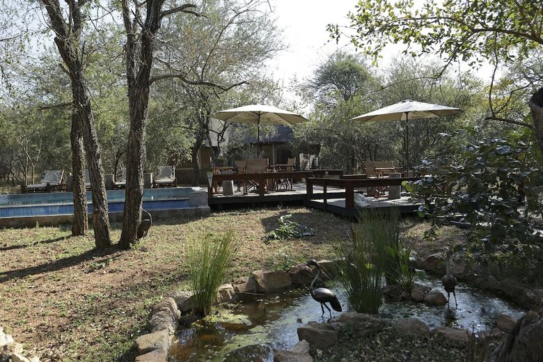 Tusk Bush Lodge