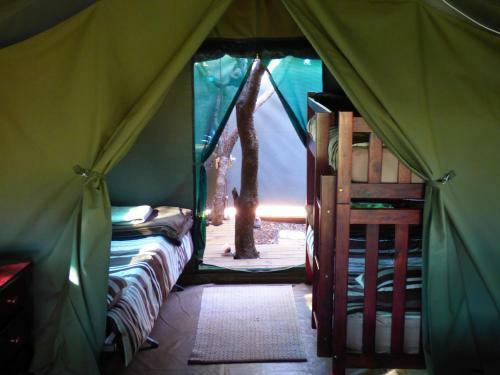 Thorn Tree Bush Camp