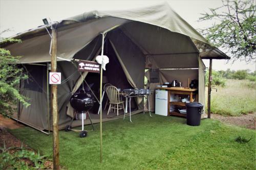 Thorn Tree Bush Camp
