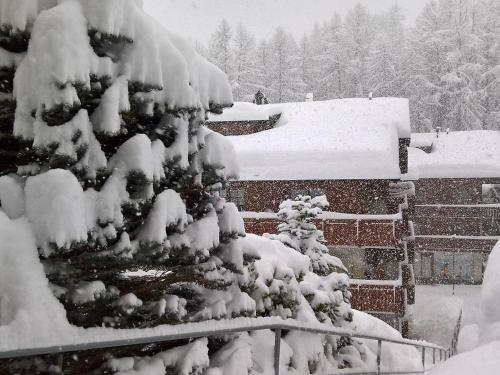 Apartment Swiss Chalet (114a05)