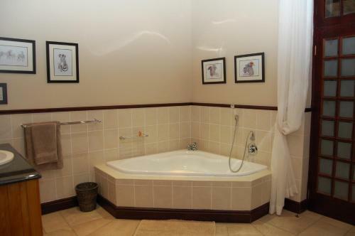 Villa Swartberg Private Game Lodge