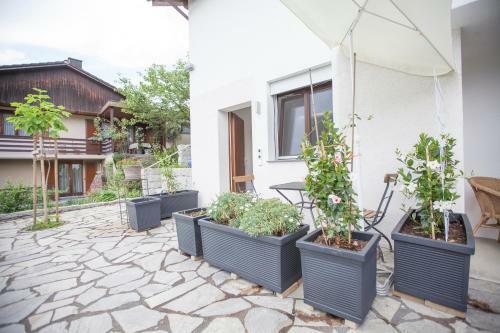 Apartment Monte Castello