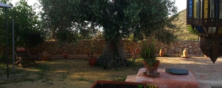 Hotel Rural Cortijo La Alberca