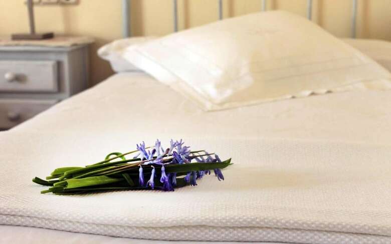 Hotel Alicia Carolina