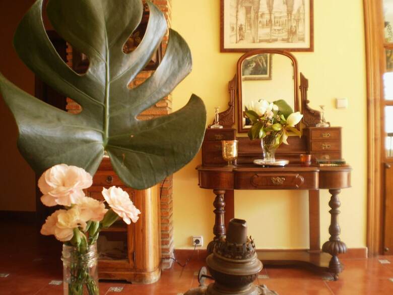 Hotel Alicia Carolina