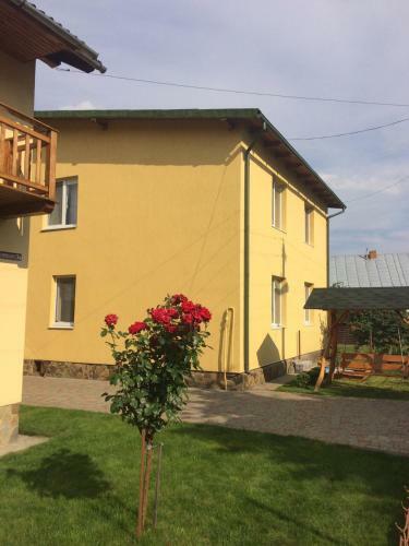 Hostal Zelena Hata