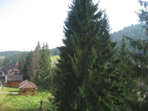 Home Hotel