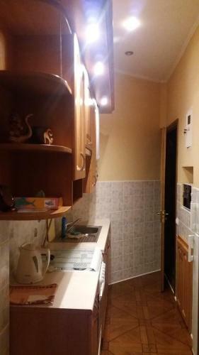 Apartment - Leontovicha Street