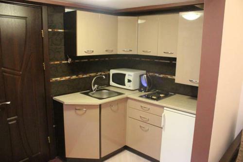 Ohiienka Apartment