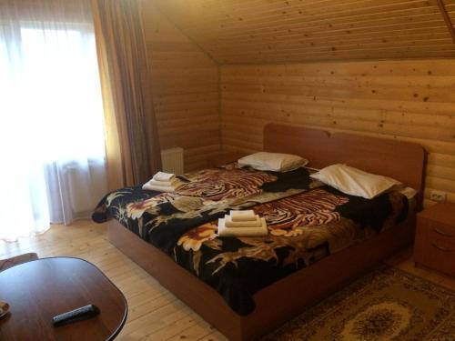 Hotel Sribni Rosy