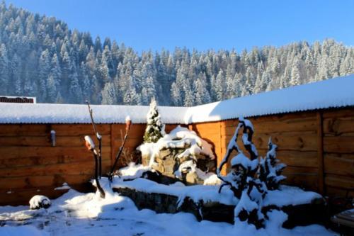 Hotel Sribni Rosy