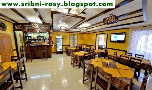 Hotel Sribni Rosy