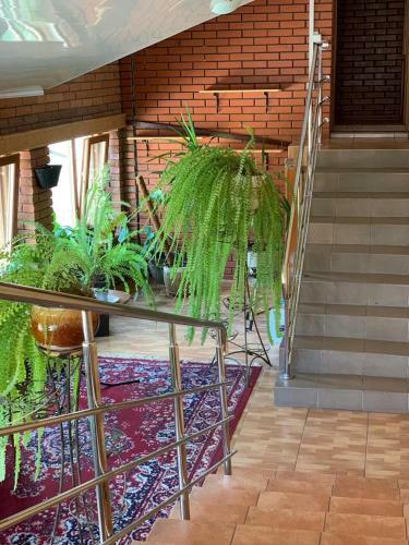 Hostal Zatyshok