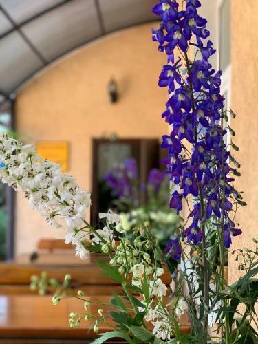 Hostal Zatyshok