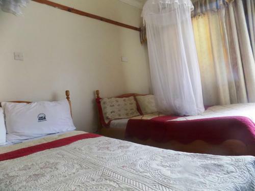 Hotel Rhino Motel