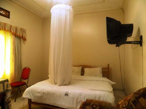 Hotel Rhino Motel