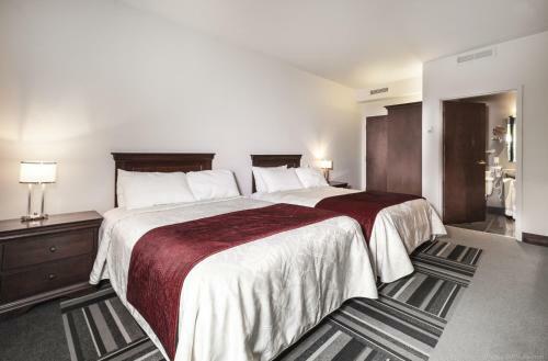 Hotel H�tel Le Saint-paul