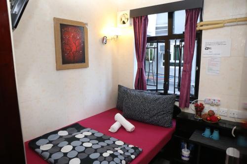 Albergue Park Inn